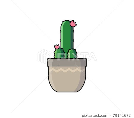 Cactus vector illustration in form of phallus. Haageocereus succulent icon or object for design 79141672