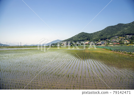鄉村景觀 79142471