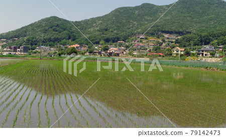 Rural landscape 79142473