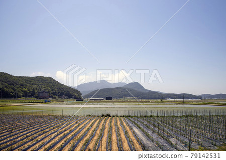 鄉村景觀 鄉村景觀 79142531