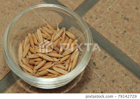 Cat grass seeds Cat grass seeds 79142729