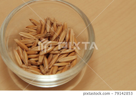 Cat grass seeds Cat grass seeds 79142853