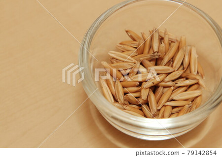 Cat grass seeds Cat grass seeds 79142854