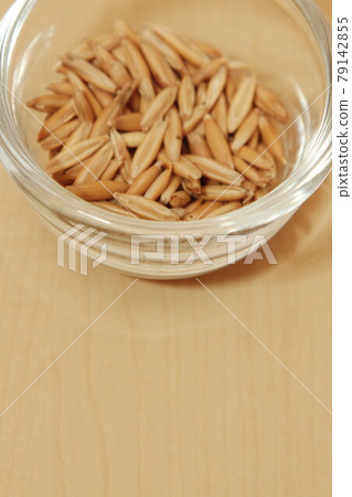 Cat grass seeds Cat grass seeds 79142855