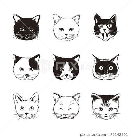 black cat face icon isolated on white. vector cat face. flat cat line  illustration Stock Vector Image & Art - Alamy