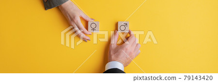 Male and female hand holding wooden blocks with male and female symbols Male and female hand holding wooden blocks with male and female symbols 79143420