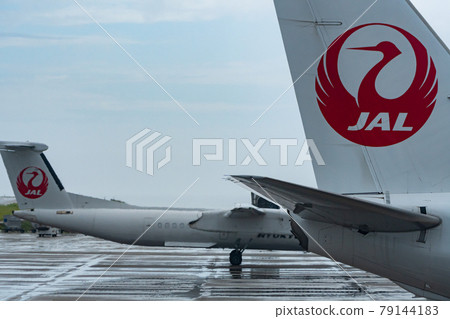 Okinawa Prefecture Ishigaki City Ishigaki Island New Ishigaki Airport Remote Island Resort Island Heaven Summer Vacation Sightseeing Travel Airplane Terminal 79144183