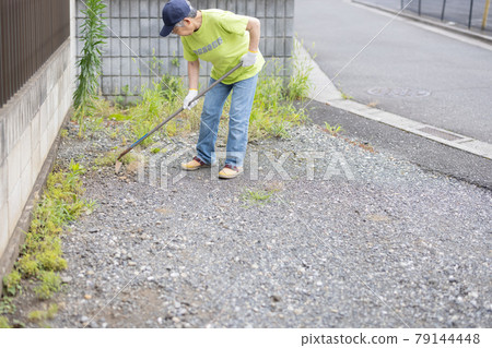 做除草工作的老人 79144448