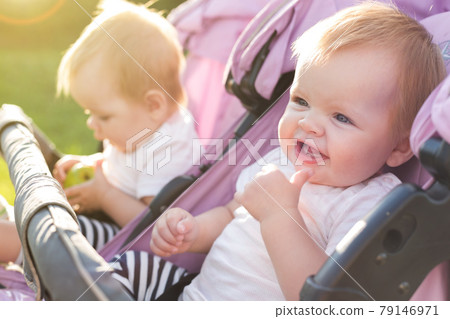 Happy twins in a baby carriage in nature on a sunny day Happy twins in a baby carriage in nature on a sunny day 79146971