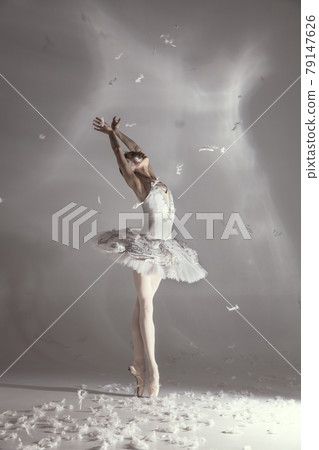 Young graceful balerina in image of white swan in art performance isolated on gray white background. 79147626