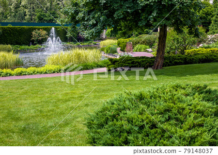 park with green grass lawn and pond with reeds and fountain summer backyard landscape with stone tile trail for walking through the garden with plants, nobody. 79148037