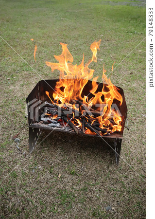 在木烤架上燃燒枯枝的篝火/火焰表達的許多變化 在木烤架上燃燒枯枝的篝火/火焰表達的許多變化 79148333