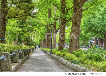 山下公園前的橫濱市容 山下公園前的橫濱市容 79149175