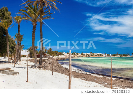 A beautiful view of the Mediterranean coast with birch water, a beach with white sand and a green palm tree. A beautiful view of the Mediterranean coast with birch water, a beach with white sand and a green palm tree. 79150333