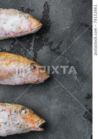 Frozen Goatfish raw fish, on gray stone table background, top view flat lay , with copy space for text Frozen Goatfish raw fish, on gray stone table background, top view flat lay , with copy space for text 79152661