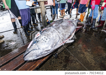 Frozen bluefin tuna at the fish market waiting for auction, donggang fish market auction scene in Pingtung, Taiwan. Frozen bluefin tuna at the fish market waiting for auction, donggang fish market auction scene in Pingtung, Taiwan. 79154012