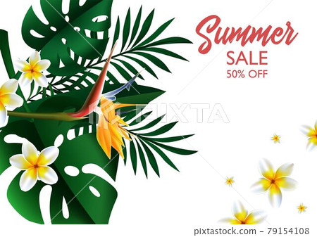 Summer Sale Tropical design OF template banner Summer Sale Tropical design OF template banner 79154108