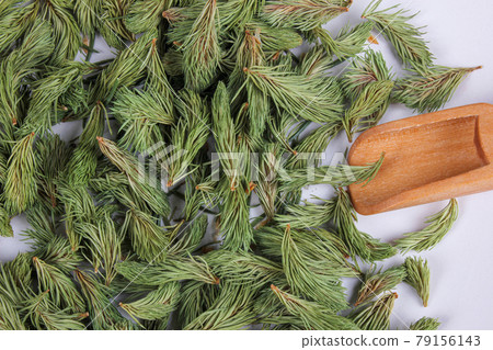 Dried young shoots of spruce prepare for tea. Remedy for cough and asthma. Dried young shoots of spruce prepare for tea. Remedy for cough and asthma. 79156143