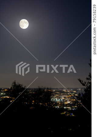 View of Bardolino View of Bardolino 79158239