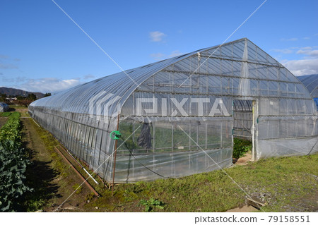 Greenhouse greenhouse cultivation Greenhouse greenhouse cultivation 79158551