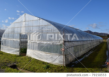 Greenhouse greenhouse cultivation 79158553