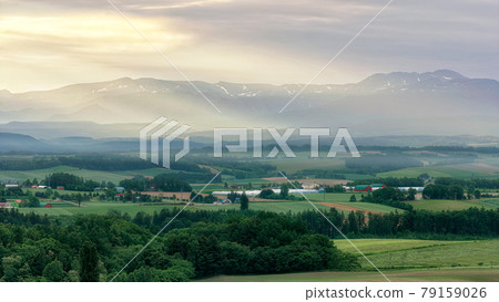 Biei-cho, Hokkaido A fantastic view of the dawn of early summer 79159026