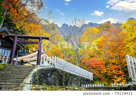 Mt. Togakushi and Torii in autumn colors Mt. Togakushi and Torii in autumn colors 79159431