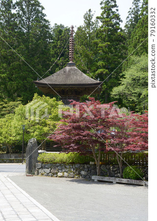 Koyasan Kongobuji Temple Koyasan, Koya Town, Wakayama Prefecture 79160332