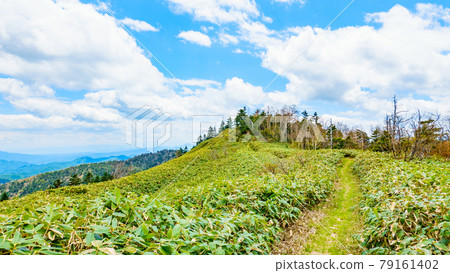 白砂山攀登:從同一岩支到八劍山山脊的風景 白砂山攀登:從同一岩支到八劍山山脊的風景 79161402