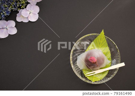 黑色背景中的酷葛櫻花和繡球花 79161490