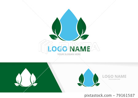 Eco water logo combination. Clean droplet and leaves logotype design template. Eco water logo combination. Clean droplet and leaves logotype design template. 79161587