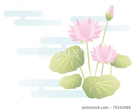 蓮花花矢量圖 蓮花花矢量圖 79162066