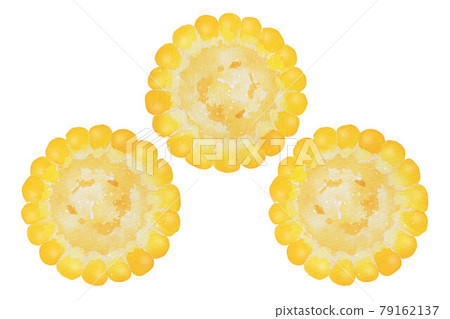 corn corn 79162137