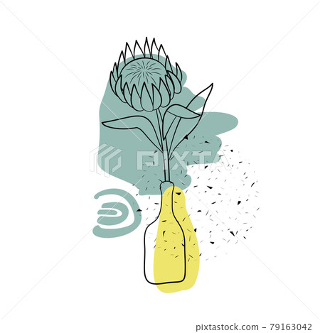 Line art black ptotea flower in vase with colorful abstract boho shape background. Line art black ptotea flower in vase with colorful abstract boho shape background. 79163042