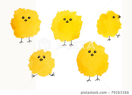 Illustration Chickens, yellow watercolor spots, Easter, isolated. 79163388