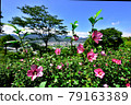 埼玉縣皆野町休養場 稻保山真虎山（穆庫格自然公園） 沙龍玫瑰 79163389