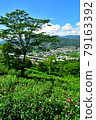 埼玉縣皆野町休養場 稻保山真虎山（穆庫格自然公園） 沙龍玫瑰 79163392