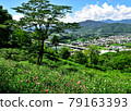 埼玉縣皆野町休養場 稻保山真虎山（穆庫格自然公園） 沙龍玫瑰 79163393
