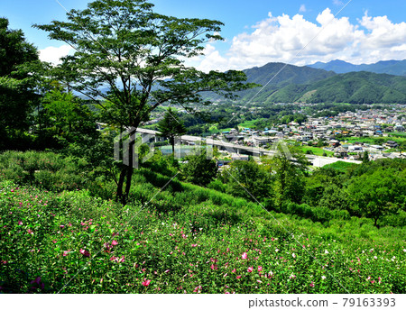 埼玉縣皆野町休養場 稻保山真虎山（穆庫格自然公園） 沙龍玫瑰 79163393