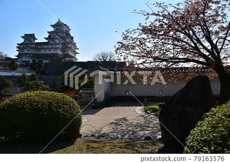 日本兵庫縣姬路市姬路城,世界遺產和國寶,春天的櫻花,藍天和宏偉的城堡塔 日本兵庫縣姬路市姬路城,世界遺產和國寶,春天的櫻花,藍天和宏偉的城堡塔 79163576
