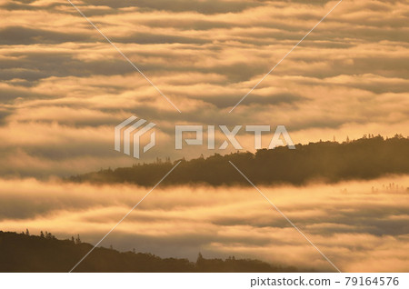Early morning sunrise and sea of clouds (Hokkaido) 79164576
