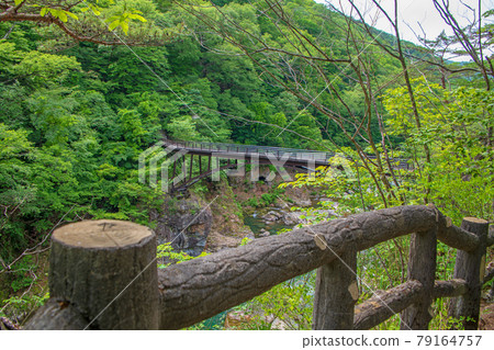 Scenery around Ryuokyo Nijimi Bridge Nikko City Scenery around Ryuokyo Nijimi Bridge Nikko City 79164757
