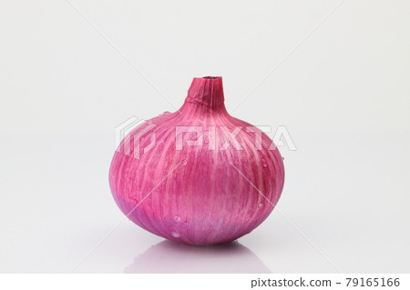 紫洋蔥紅洋蔥 79165166