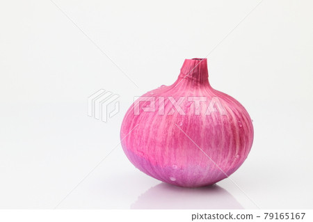紫洋蔥紅洋蔥 紫洋蔥紅洋蔥 79165167