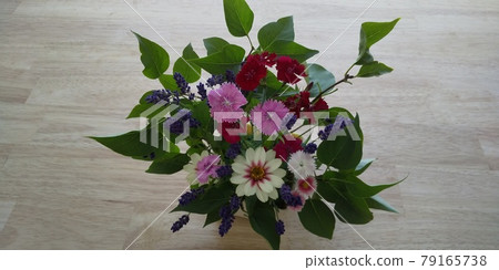 每天帶著花 每天帶著花 79165738