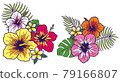 Hibiscus illustration 79166807