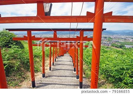 浮羽稻荷神社是福岡縣的熱門旅遊景點，擁有紅色鳥居 79166855
