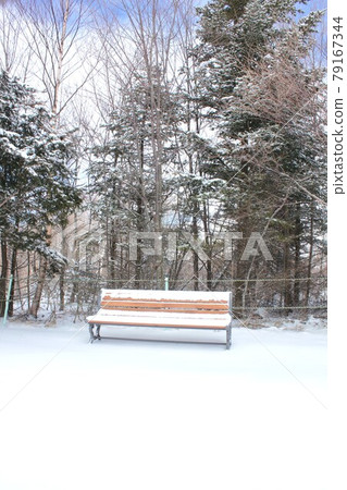 A bench placed on the promenade of the forest of Nobeyama Kogen, Shinshu, which is covered with cold snow 79167344