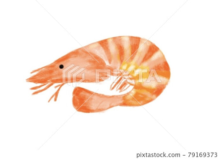 New Year's shrimp cute hand-drawn illustration New Year's shrimp cute hand-drawn illustration 79169373