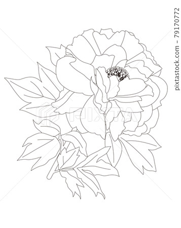 B2124050《花卉十开之四牡丹图》清代画家恽寿平高清作品– 高清名画